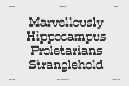 vintage display font