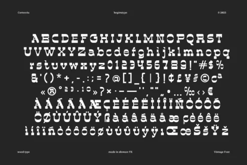 vintage display font